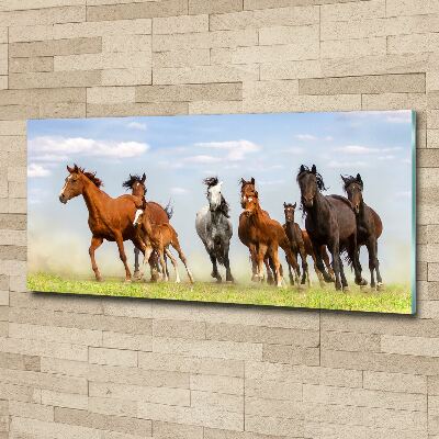 Plexiglas foto Paarden in galop