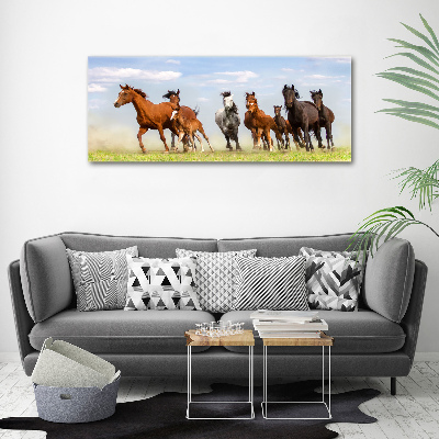 Plexiglas foto Paarden in galop