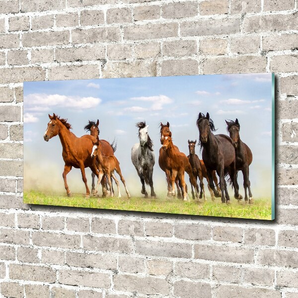 Plexiglas foto Paarden in galop