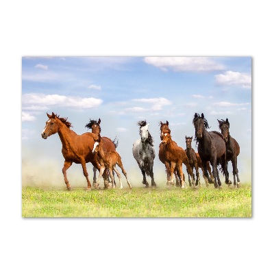 Plexiglas foto Paarden in galop