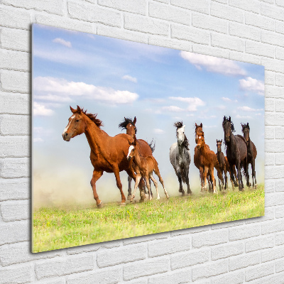 Plexiglas foto Paarden in galop