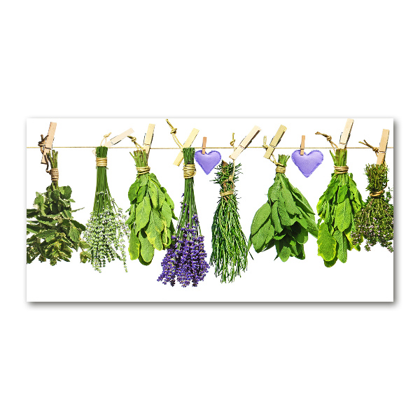 Obraz zdjęcie szkło akryl Zioła na sznurku