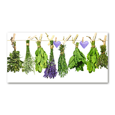 Obraz zdjęcie szkło akryl Zioła na sznurku
