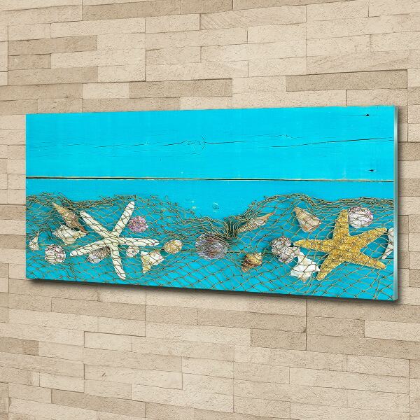 Foto obraz akryl Rozgwiazdy i muszle