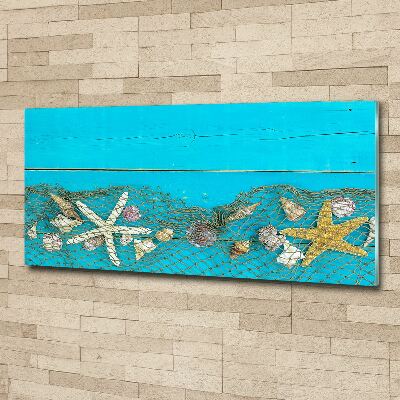 Foto op plexiglas Zeesterren en schelpen