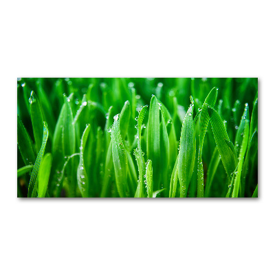 Plexiglas schilderij Gras