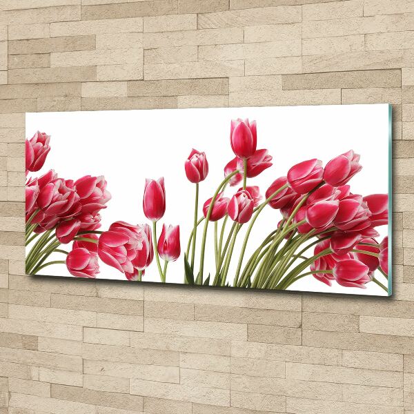 Foto op plexiglas Rode tulpen
