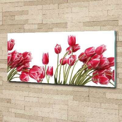 Foto op plexiglas Rode tulpen
