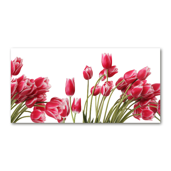 Foto op plexiglas Rode tulpen