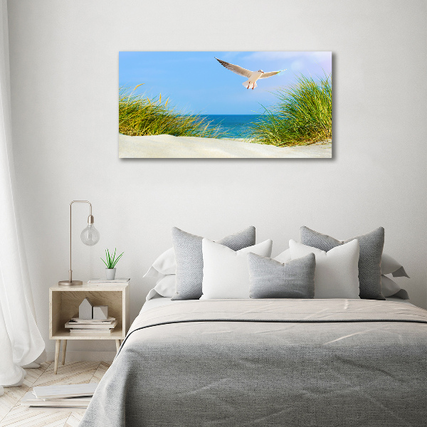 Schilderij op acrylglas Meeuw op het strand