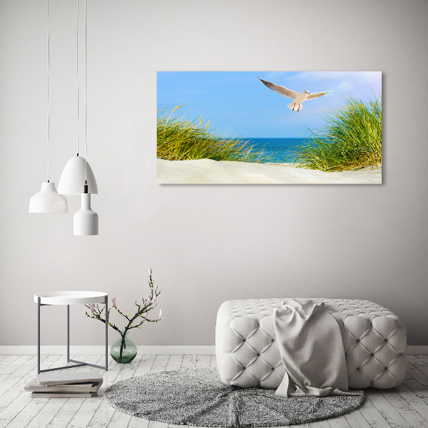 Schilderij op acrylglas Meeuw op het strand