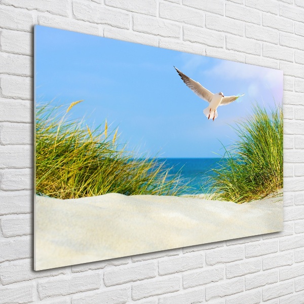 Schilderij op acrylglas Meeuw op het strand