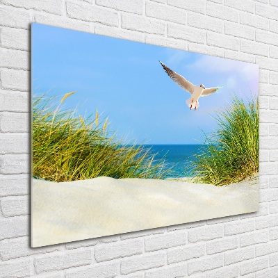 Schilderij op acrylglas Meeuw op het strand