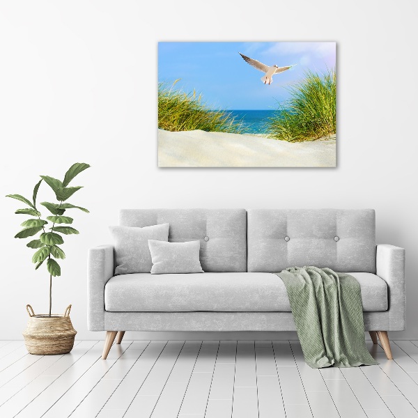 Schilderij op acrylglas Meeuw op het strand