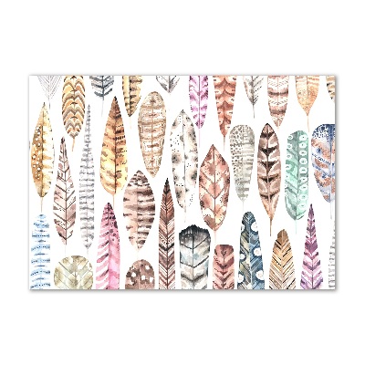 Plexiglas foto Kleurrijke veren