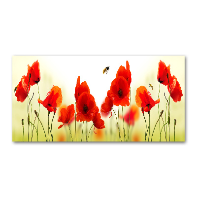 Plexiglas foto Klaprozen