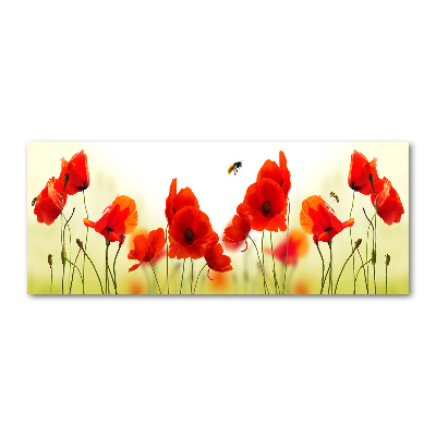 Obraz zdjęcie na scianę pleksi Maki