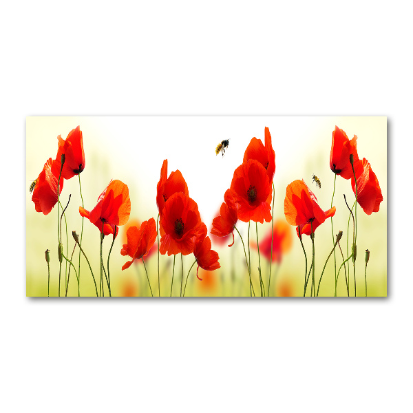 Obraz zdjęcie na scianę pleksi Maki