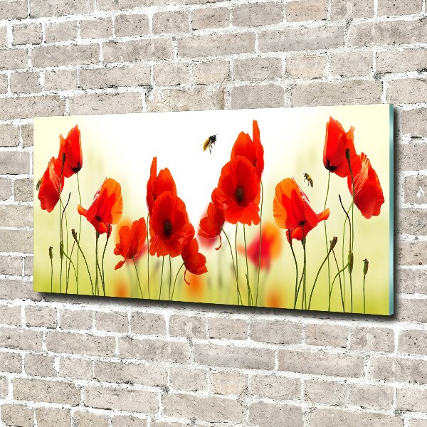 Plexiglas foto Klaprozen