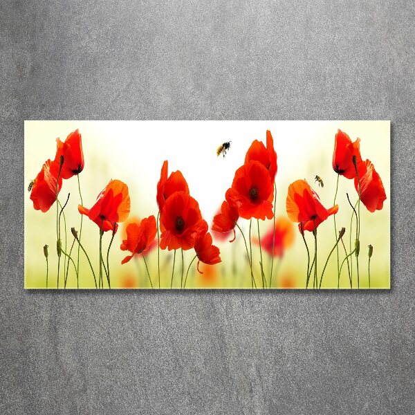 Plexiglas foto Klaprozen