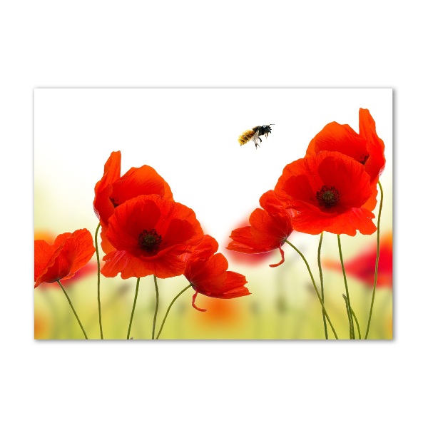 Plexiglas foto Klaprozen