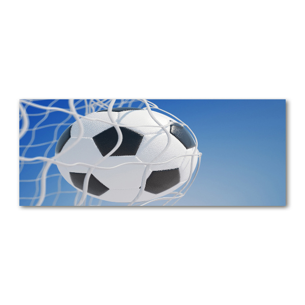 Schilderij op acrylglas De bal ligt in het doel.