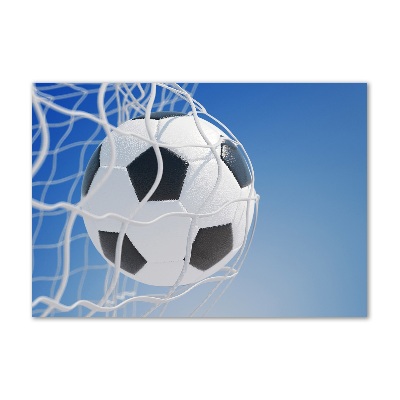 Schilderij op acrylglas De bal ligt in het doel.