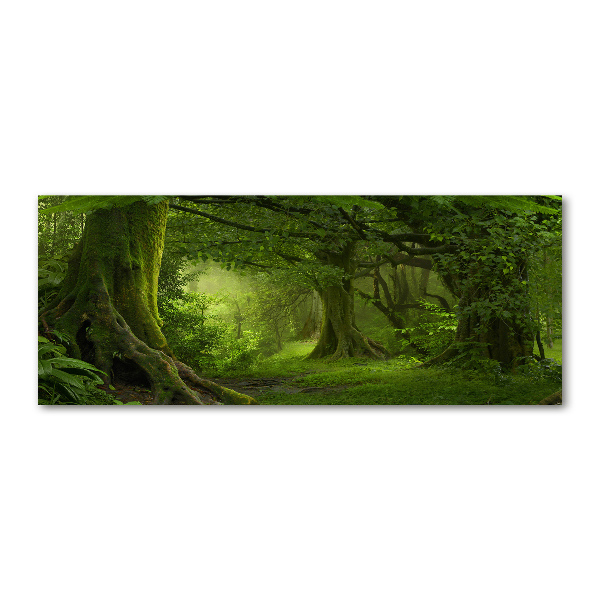 Schilderij op acrylglas Tropische jungle