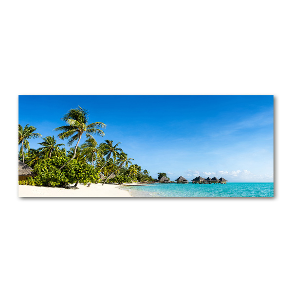 Plexiglas foto Caribisch strand