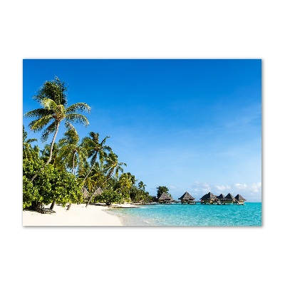 Plexiglas foto Caribisch strand