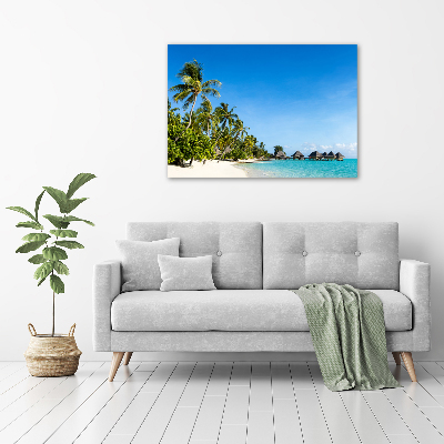 Plexiglas foto Caribisch strand