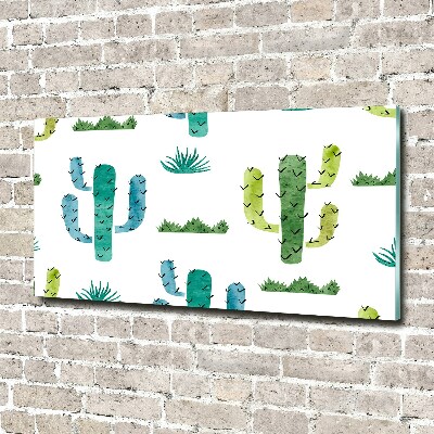 Schilderij op acrylglas Cactussen