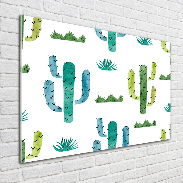 Schilderij op acrylglas Cactussen