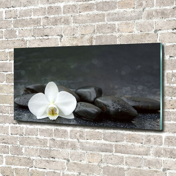 Foto op plexiglas Orchidee