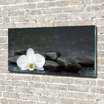 Foto op plexiglas Orchidee