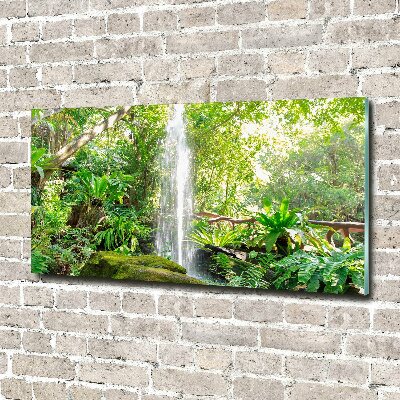 Foto plexiglas Waterval