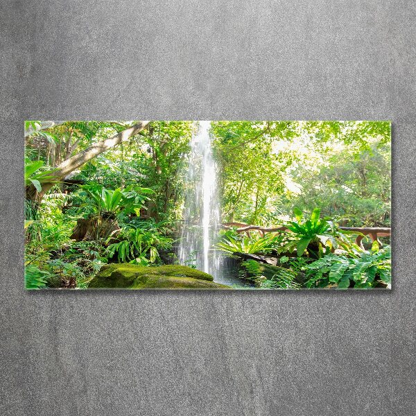 Foto plexiglas Waterval