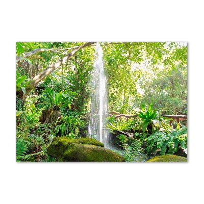 Foto plexiglas Waterval
