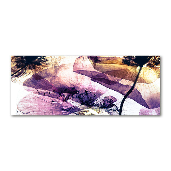 Plexiglas foto Droge klaprozen