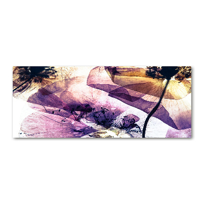 Obraz zdjęcie na ścianę akryl Suche maki