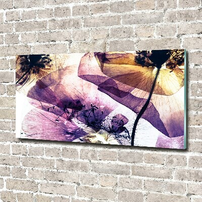 Plexiglas foto Droge klaprozen