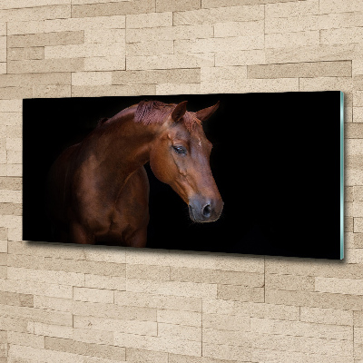 Foto in plexiglas Bruin paard