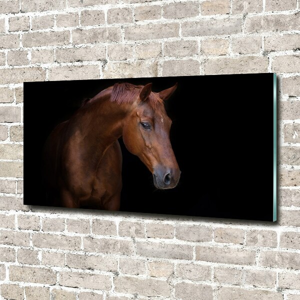 Foto in plexiglas Bruin paard