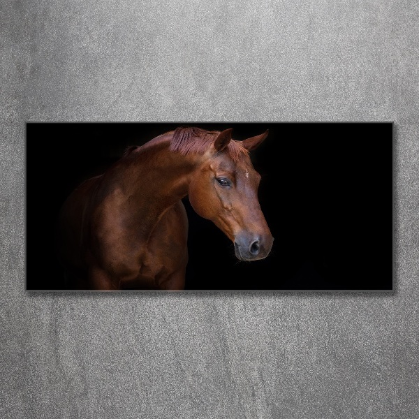 Foto in plexiglas Bruin paard