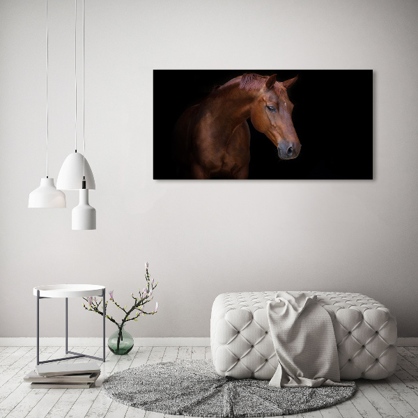 Foto in plexiglas Bruin paard