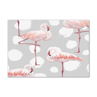 Plexiglas foto Flamingo's