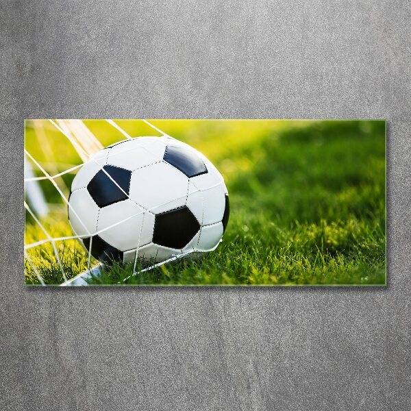Plexiglas foto De bal ligt in het doel.
