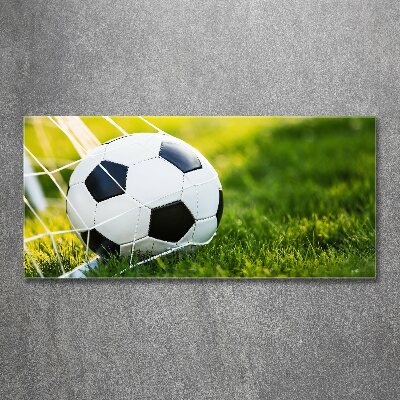 Plexiglas foto De bal ligt in het doel.