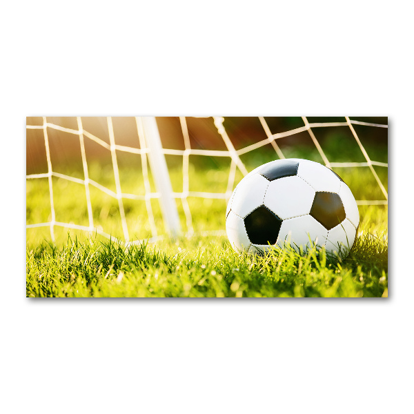 Foto plexiglas De bal ligt in het doel.