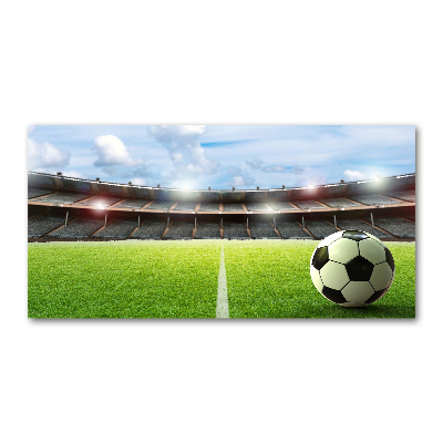 Foto in plexiglas De bal op het veld